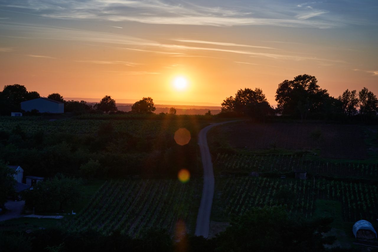 Paysage Couché de soleil 0227